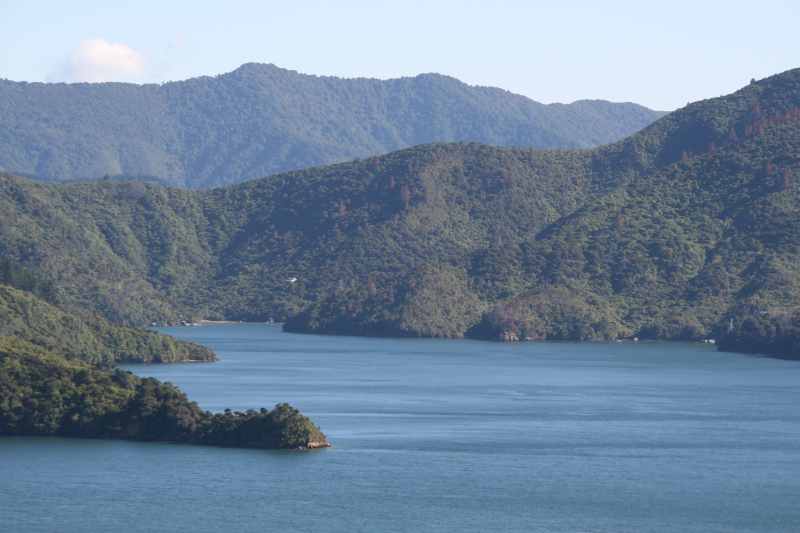 Nieuw-Zeeland 2011 - 0962